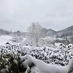 Kamila *