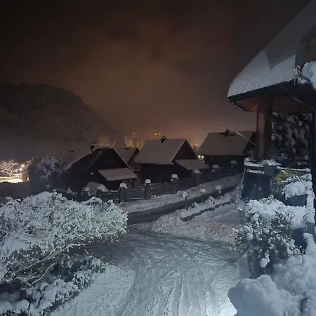 Kamila שצ'בניצה