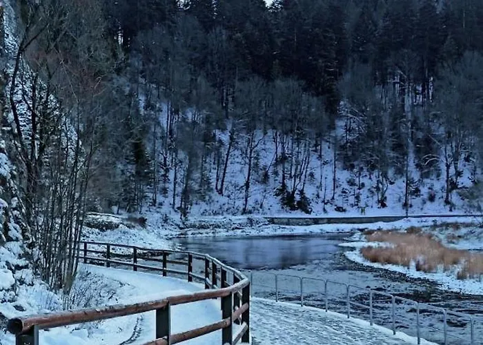 ホームステイ Kamila